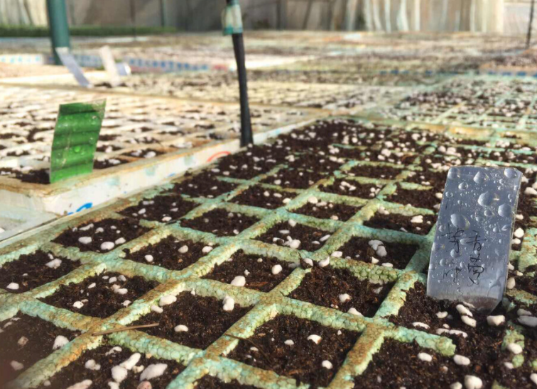 土壤氧化还原电位测定仪：解读适用范围与土壤类型