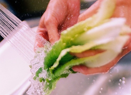 高性价比推荐--农药残留快速检测仪的作用 农药残留去除方法详解