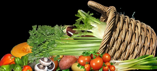 食品安全难题不是容许被忽略，食品安全检测仪保证每个人的食品安全！