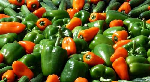 市场监管必备仪器，食品安全检测仪器有哪些作用