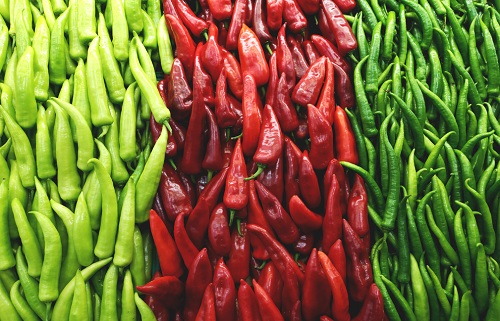 农药残留速测仪约束菜农使用农药