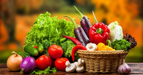 食品安全检测仪系列开机操作步骤