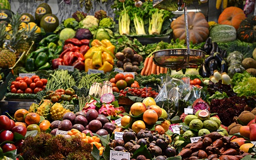 便携式食品安全检测仪可以检测哪些项目