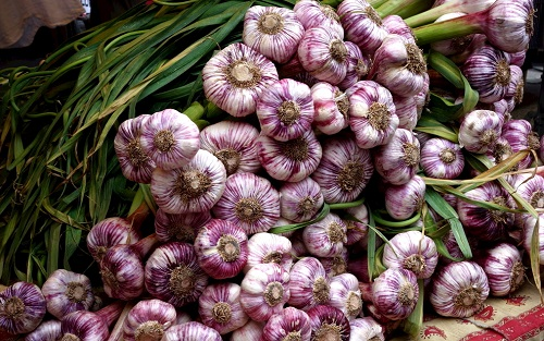 农药残留检测仪怎么样：农药残留检测仪在农贸市场中的应用