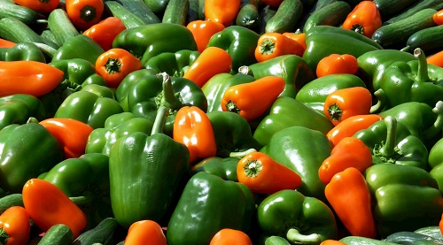 食品安全检测仪作用明显吗？食品安全检测仪作用如何