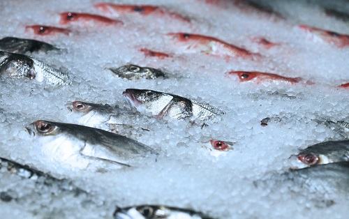 特殊情况下的食品安全综合检测仪对冷冻食品的安全检测 特殊情况下的食品安全综合检测仪对冷冻食品的安全检测