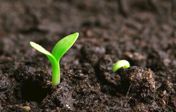 测土配方仪的应用价值是什么?测土配方仪的应用前景 测土配方仪的应用价值是什么?测土配方仪的应用前景