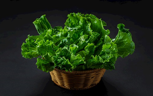 农残仪器：全自动农药残留物检测仪/多功能食品安全检测仪/农药残留快速检测仪