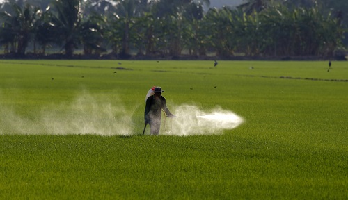 全自动农药残留检测仪的功能特点有哪些？