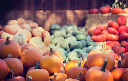 科学仪器的支持---农药残留检测仪对农业生产的重要性！