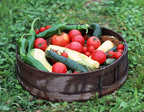 到底什么是农药残留超标？农药残留检测仪避免农药残留超标