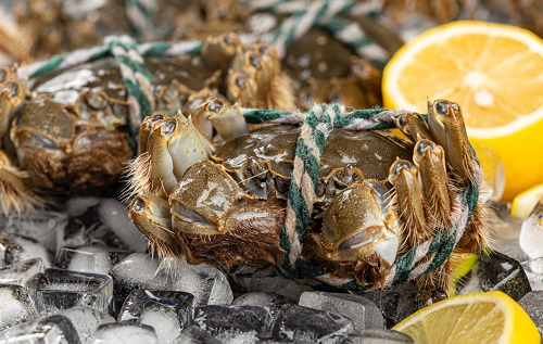 隔夜蟹、死螃蟹到底能不能吃？小心菌落总数激增