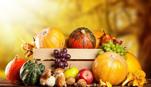 浅谈农药残留检测仪的维护工作