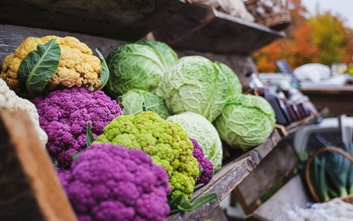 食品安全检测仪在保证食品质量方面有哪些优势？