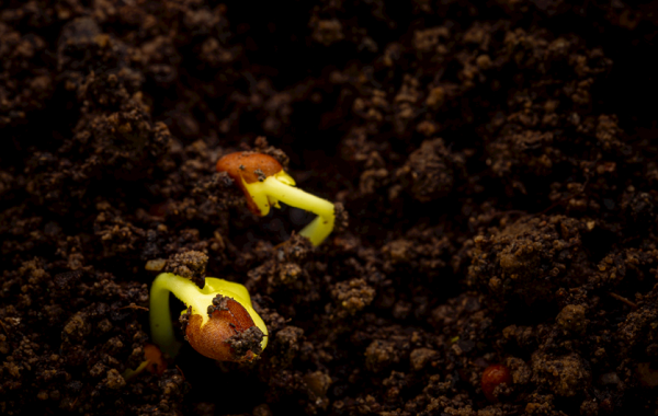 提升农作物生产！肥料养分含量测定仪帮您准确分析土壤和肥料