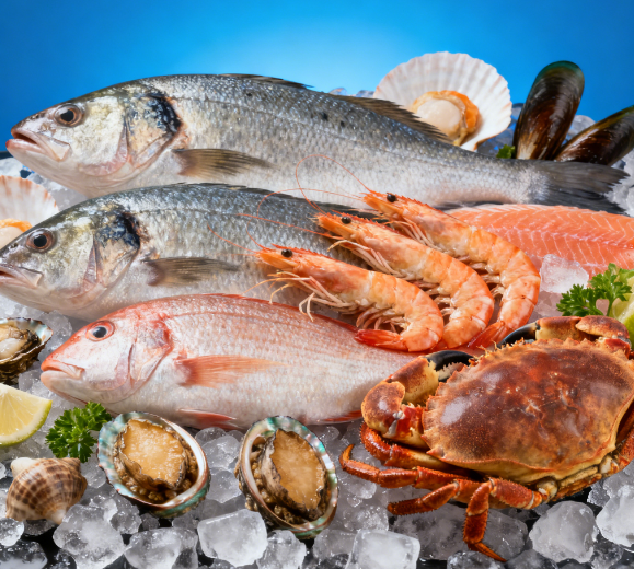 水产品抗生素检测仪