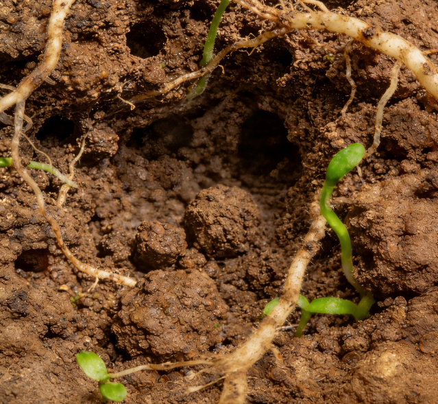 土壤养分快速检测仪哪个靠谱？国产土壤养分速测仪权威评测与选购指南