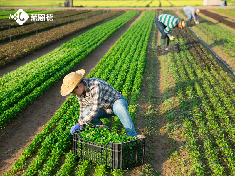 种植大户选科研级土壤肥料有机质检测仪 实用选购指南